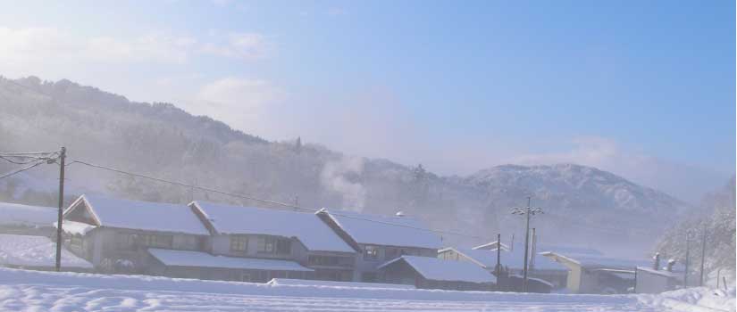 2005.12.7大雪の年　工場の裏手より